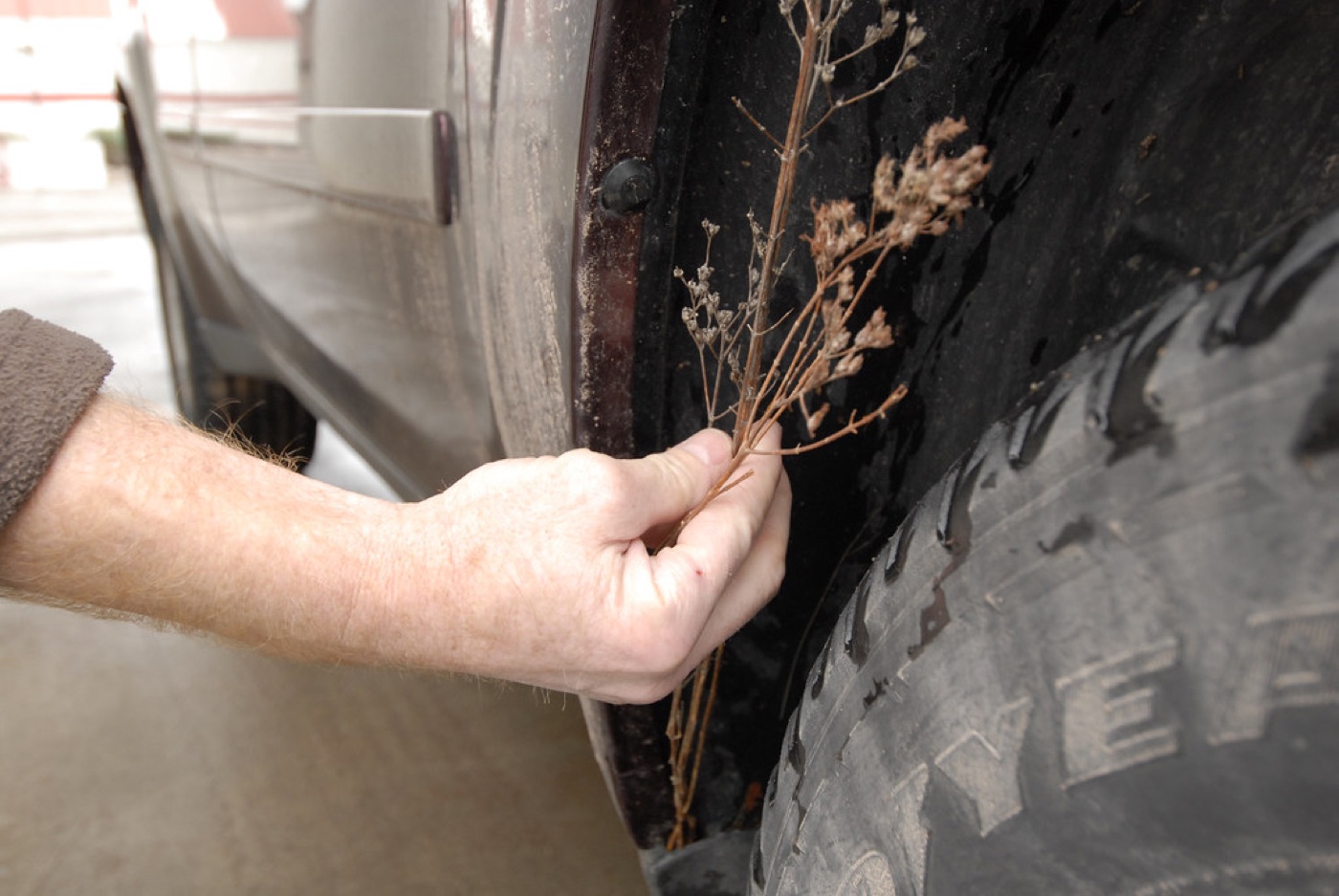Vehicle detailing work in progress.